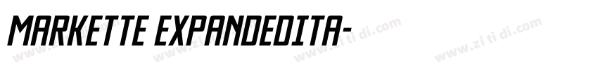Markette ExpandedIta字体转换
